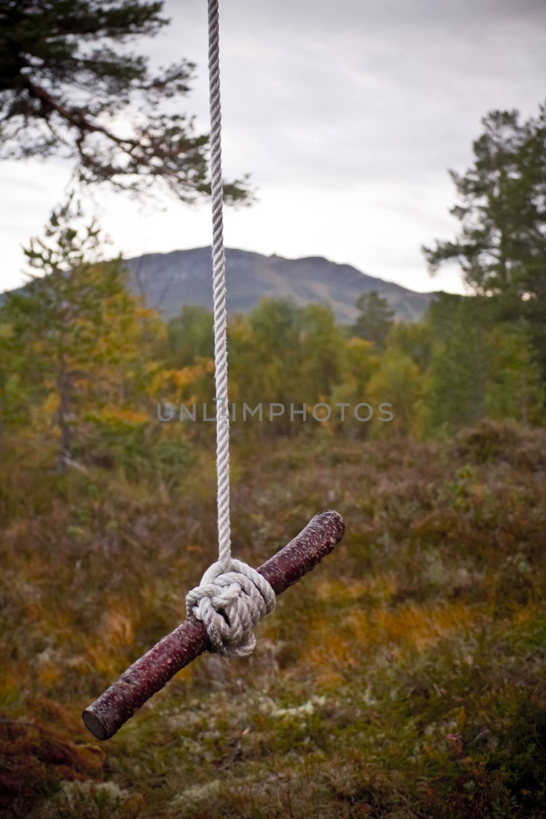 Beautiful self-built nature swing in Norway nature.