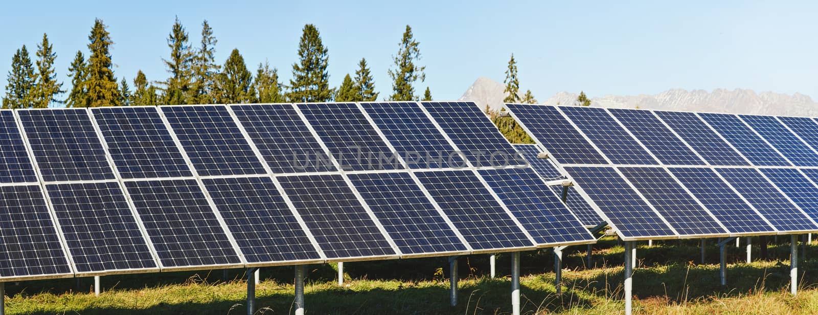 Solar panel collectors in forest, coniferous trees and mountains background, clear sky above, closeup detail.