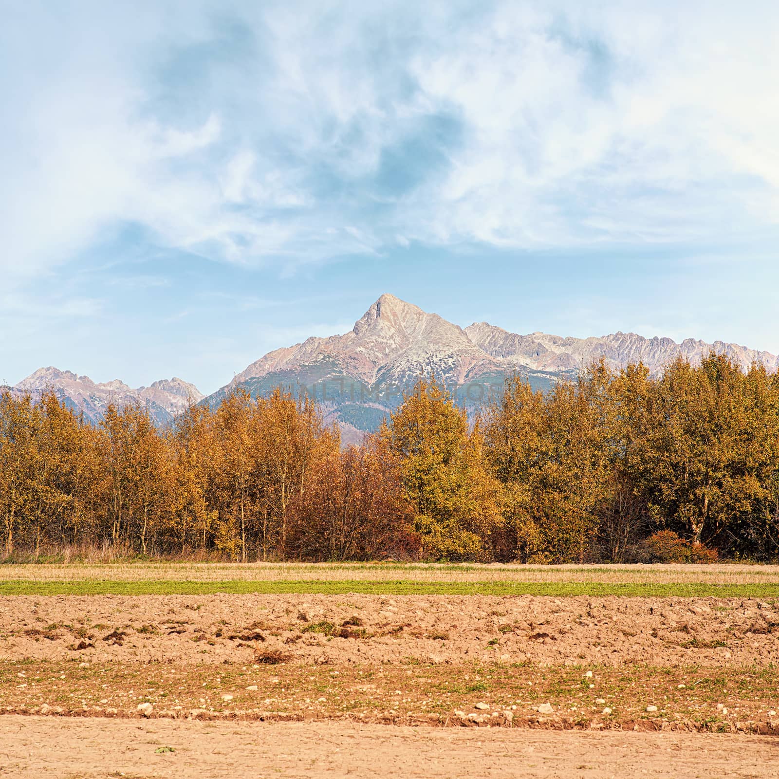 Mount Krivan peak Slovak symbol with blurred autumn coloured trees and dry field in foreground, Typical autumnal scenery of Liptov region, Slovakia by Ivanko