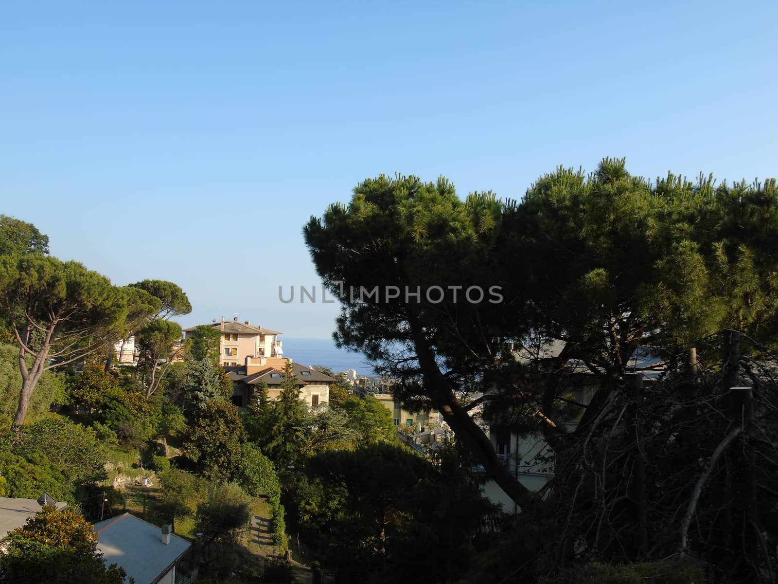 Genova, Italy - 07/12/2020: An amazing photography of the city of Genova from the hills in summer days, with a great blue sky in the background and some trees behind the buildings.