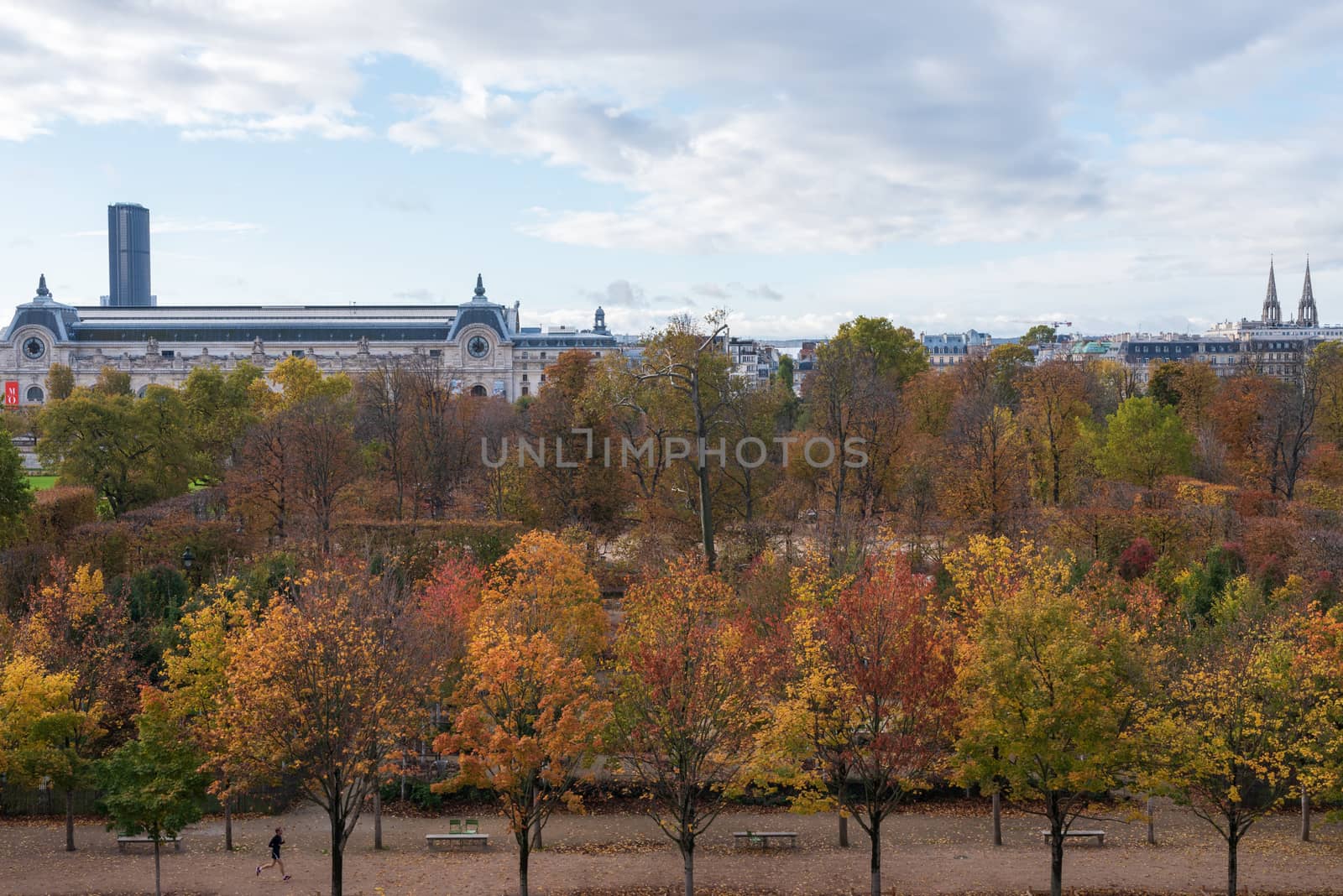 Paris, France -- November 5, 2017 -- Photo overlooking colorful trees in the Tuilerie Gardens;  a jogger is in the park,  Musee d'Orsay is in the background.