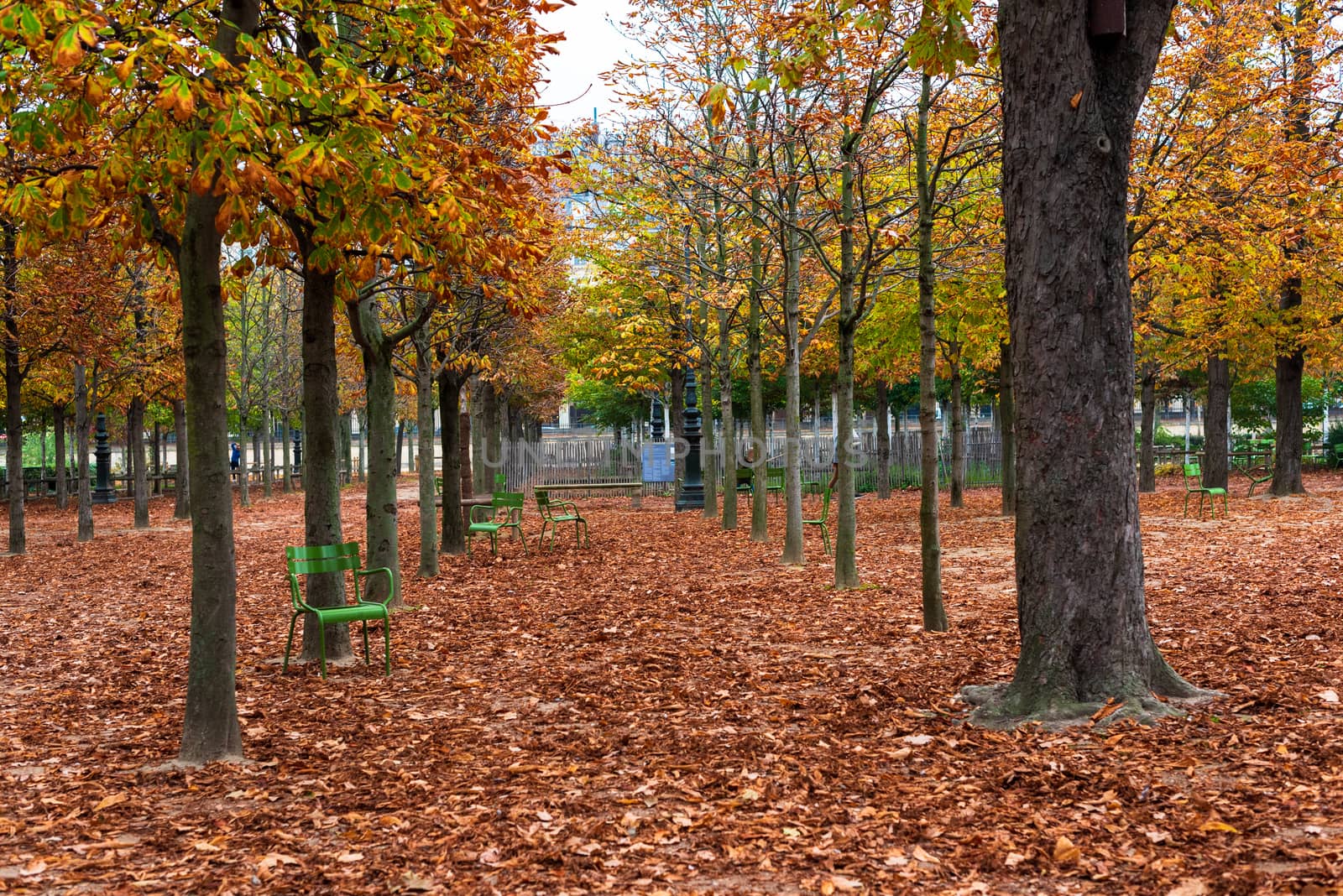 The grounds of the Tuilery Gardens are covered with fallen leaves as the trees turn colors in Autumn.