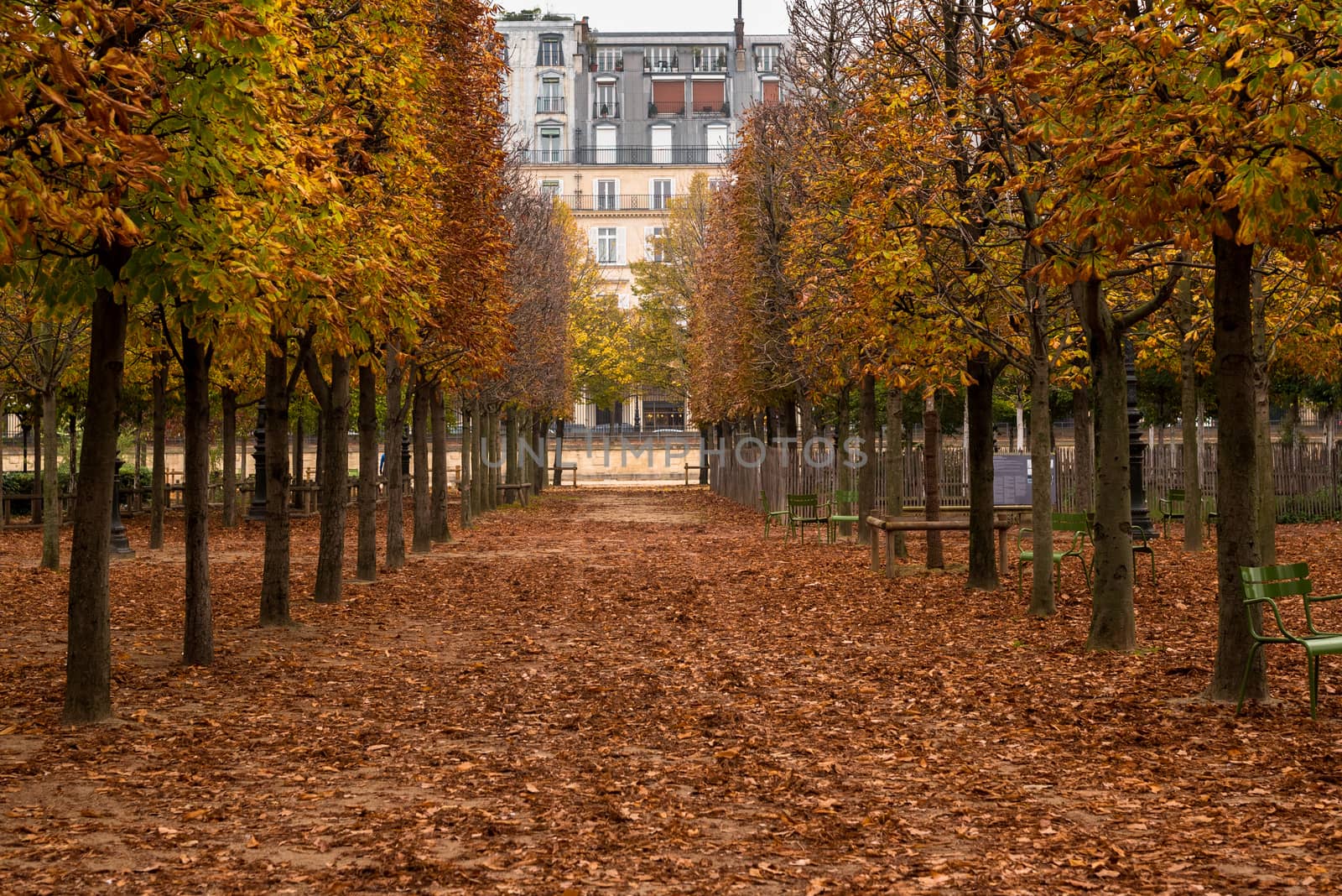 Pathway in the Tuileries Gardens by jfbenning
