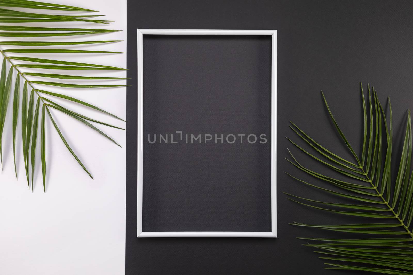 Frame of tropical palm leaves on black and white background. Flat lay, top view, copy space. Summer background, nature. Creative frame background with tropical leaves.