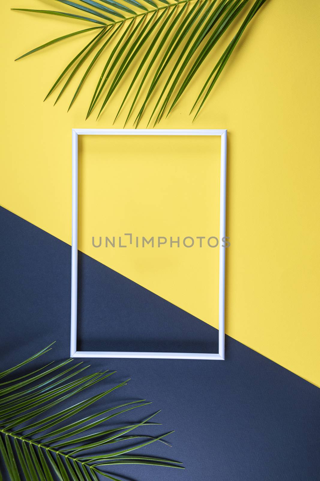 Summer composition with photo frame and green leaves on yellow and black background. Creative mockup with copy space and tropical leaves.

