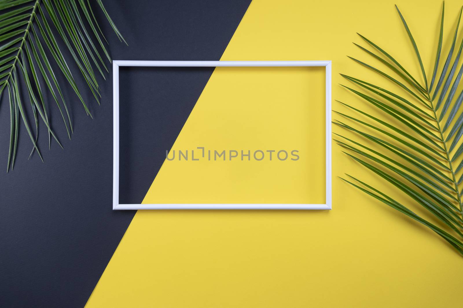 Summer composition with photo frame and green leaves on yellow background. Creative mockup with copy space and tropical leaves.