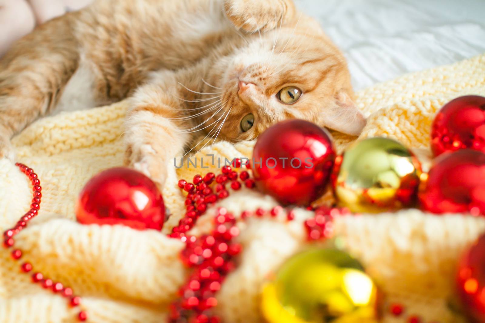 A fat lazy ginger cat lies on a knitted yellow blanket with New Year's toys: gold and red balls. New Year card.