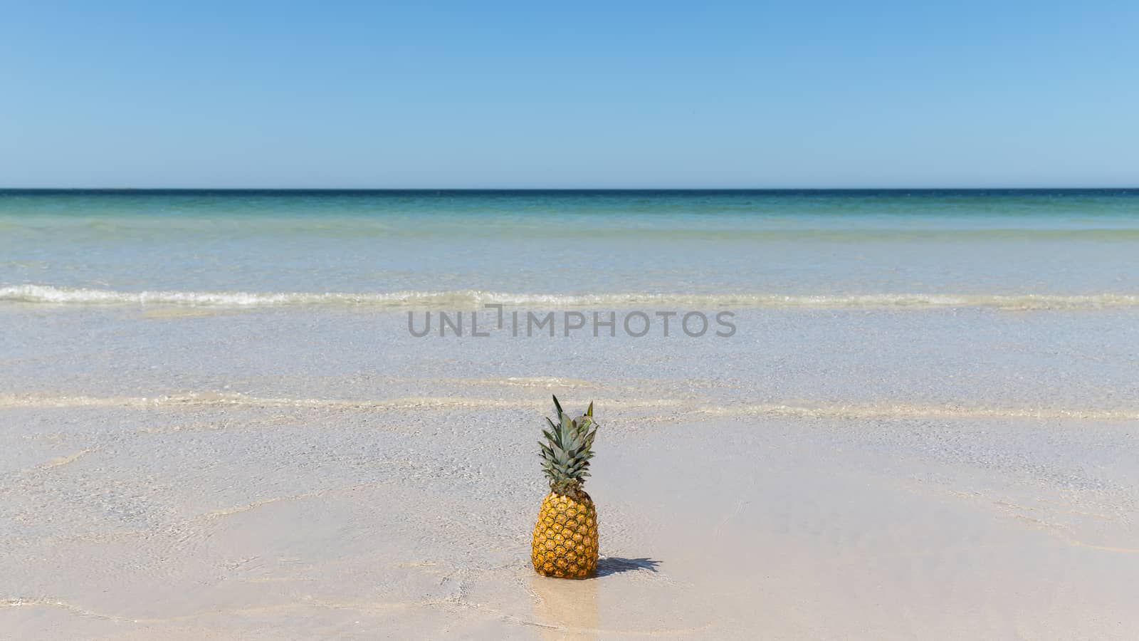 Lonely pineapple on the sand of the beach with the turquoise sea in the background