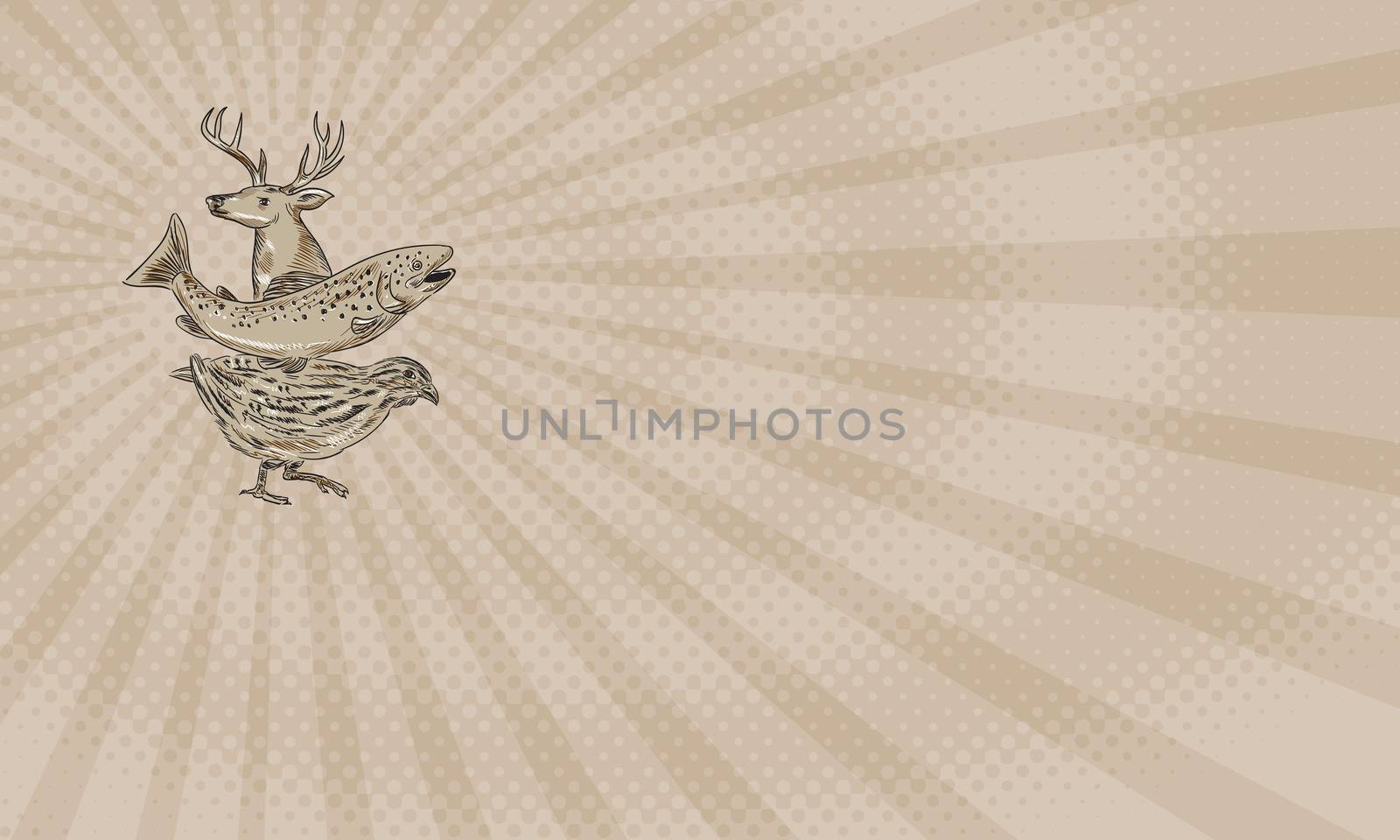 Business card showing Drawing sketch style illustration of a deer, trout and quail viewed from the side.



