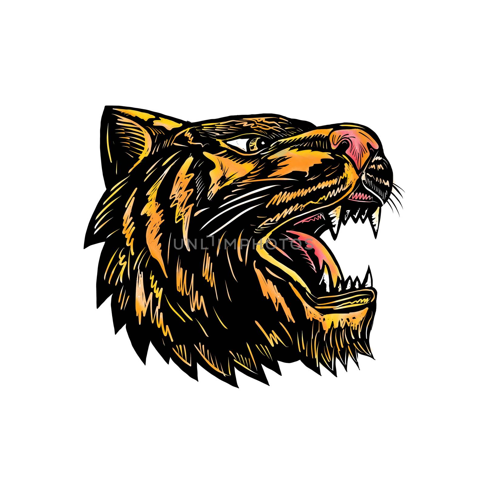 Woodcut style illustration of an angry growling tiger head viewed from side on isolated background.