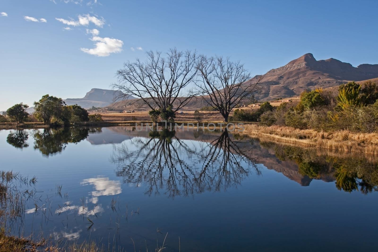 Reflections in a clear Drakensberg lake in the Royal Natal National Park. KwaZulu-Natal, South Africa