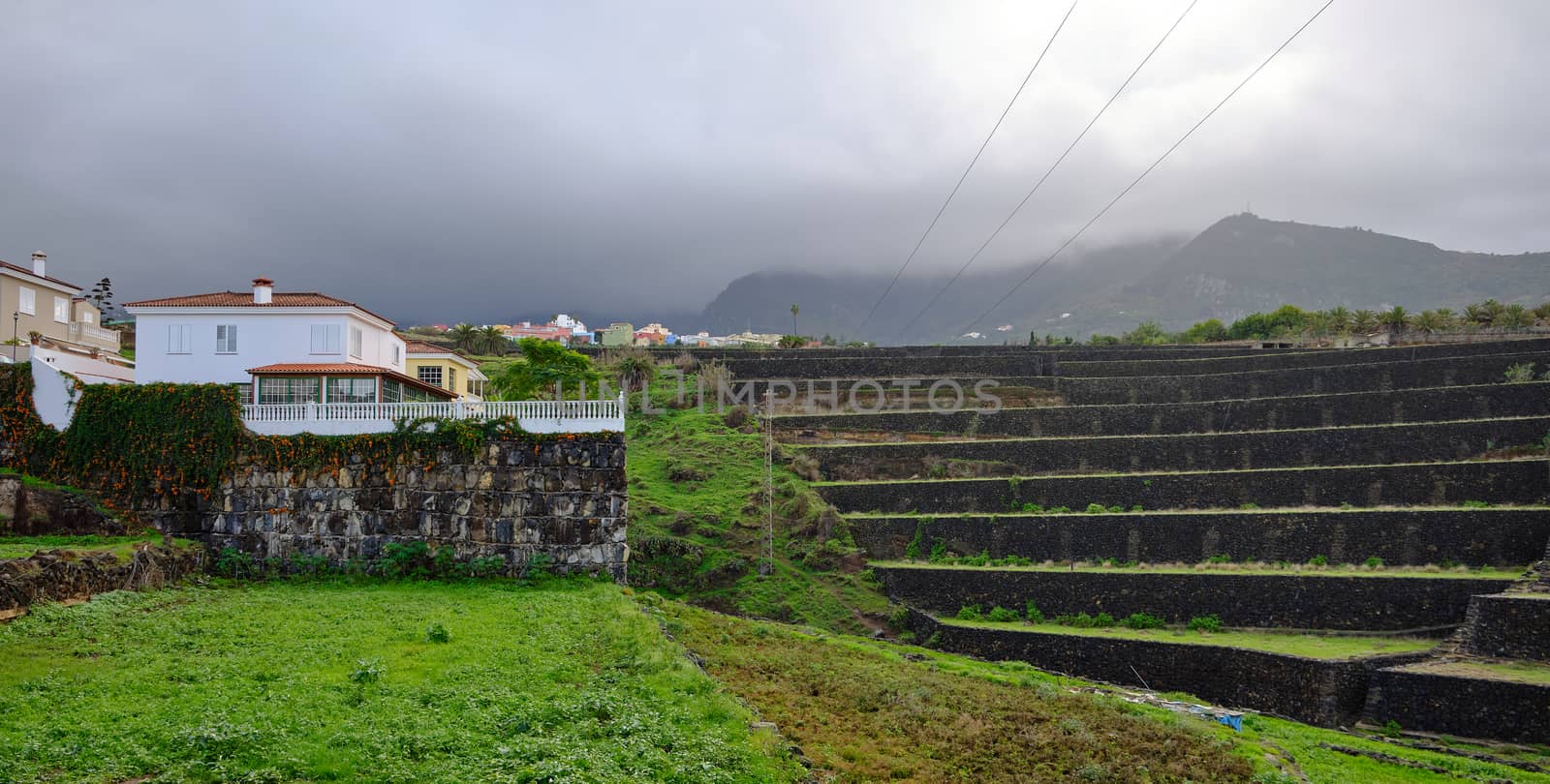 Crops in terraces in the area of Tenerife, Canary Islands, Spain