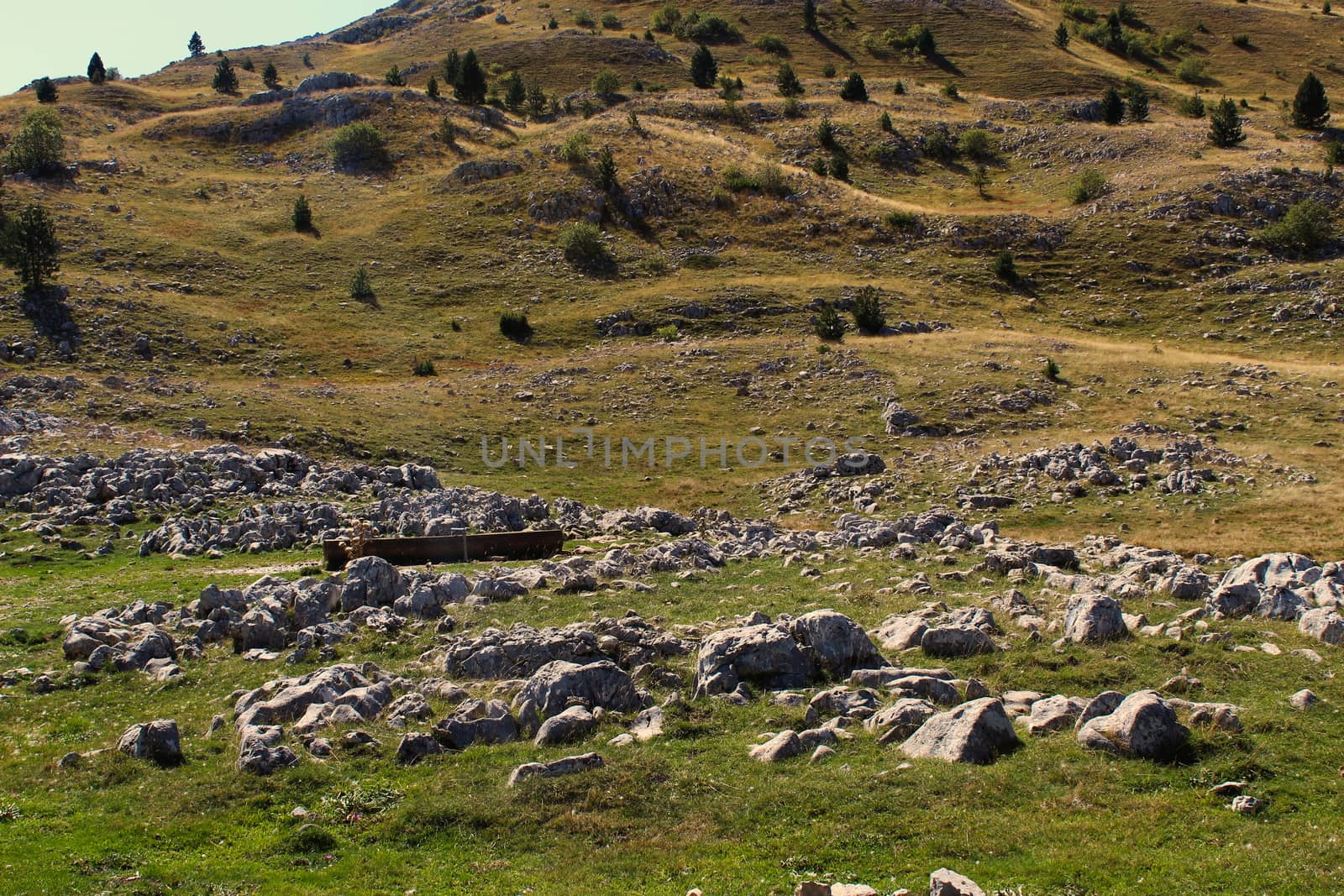 A place where cattle (cows, sheep, goats, wild animals, etc.) drink water. Rocky part of Bjelasnica mountain, Bosnia and Herzegovina. by mahirrov