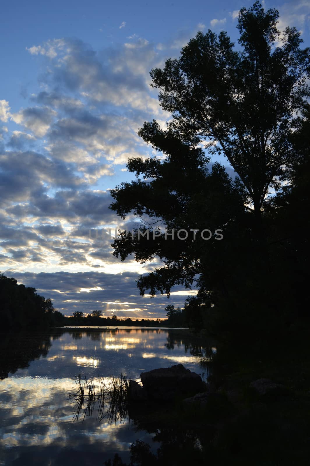 beautiful evening landscape with river