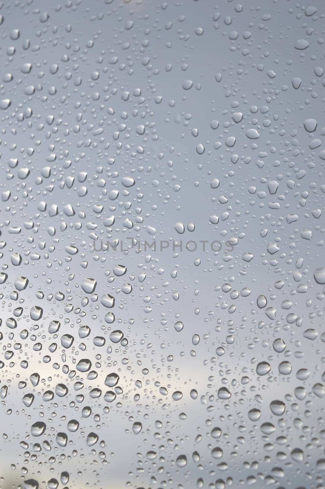 Drops of rain on the window by sergpet