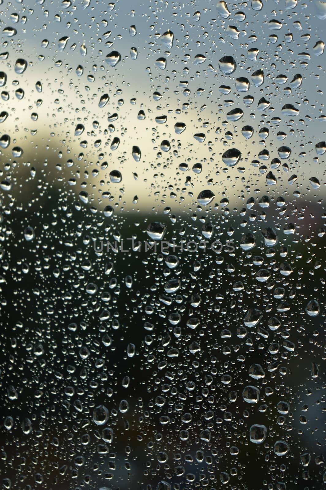 Drops of rain on the window by sergpet