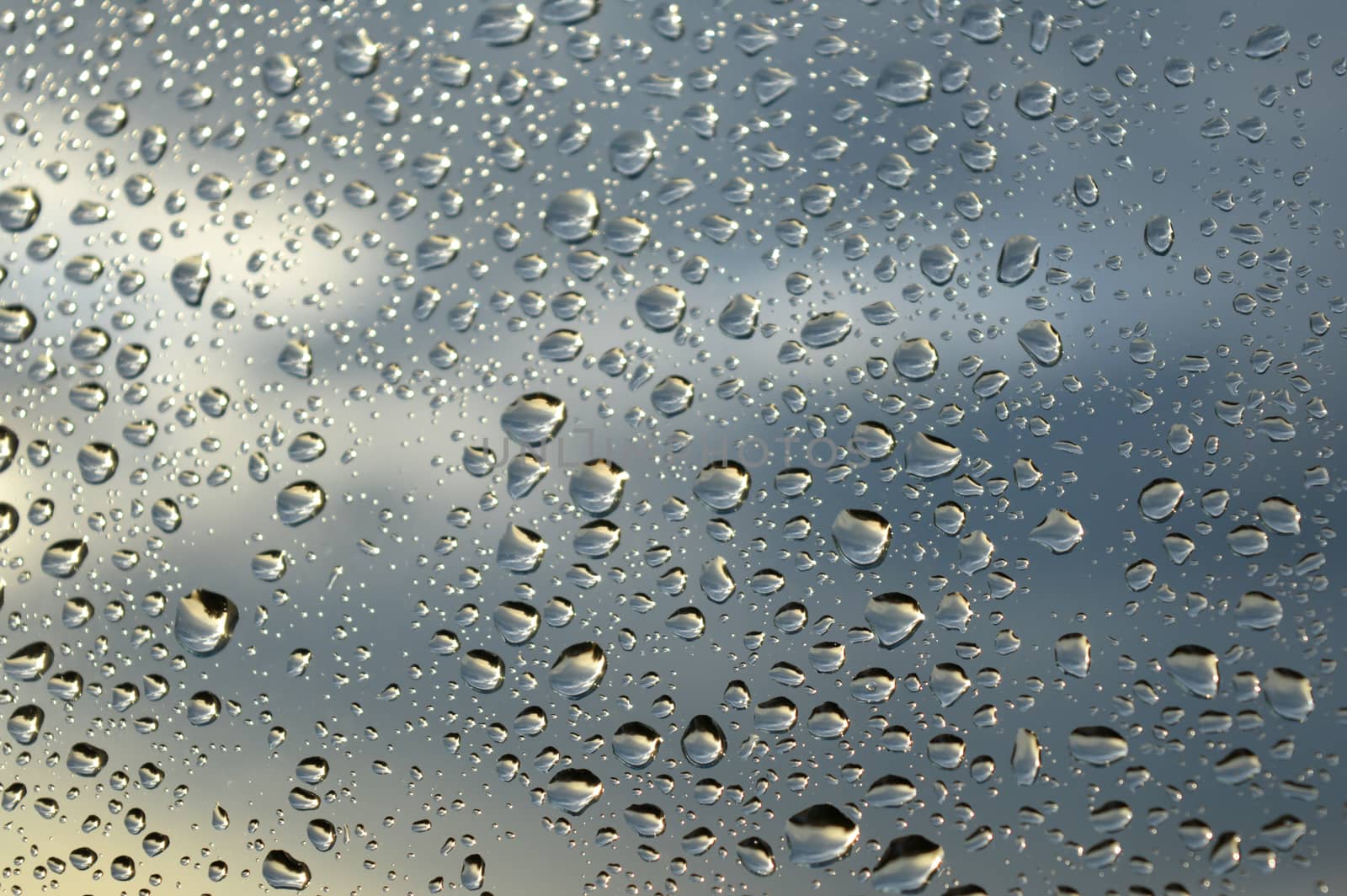 Drops of rain on the window, shallow dof.