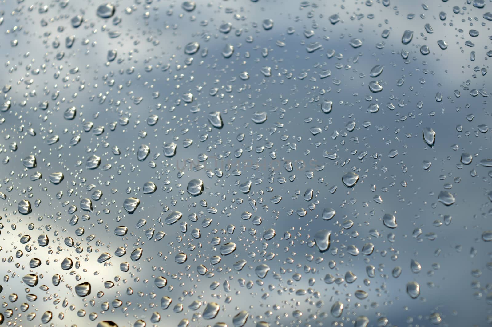 Drops of rain on the window, shallow dof.