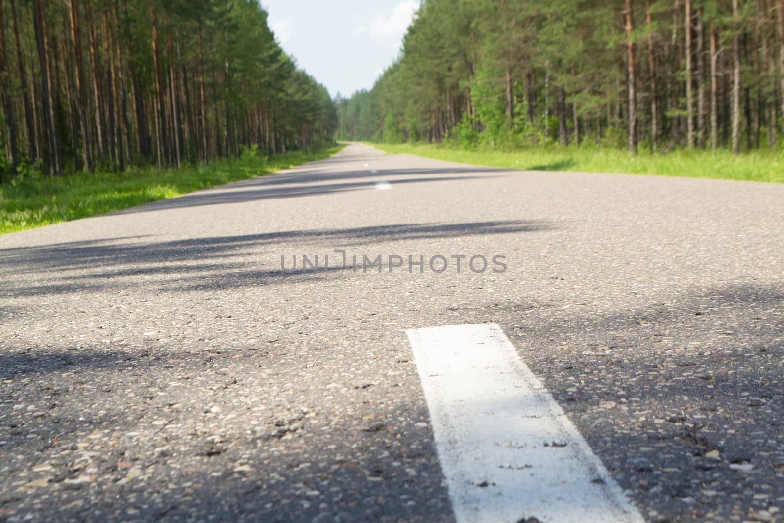 Summer country road with trees beside concept, landscape in Belarus