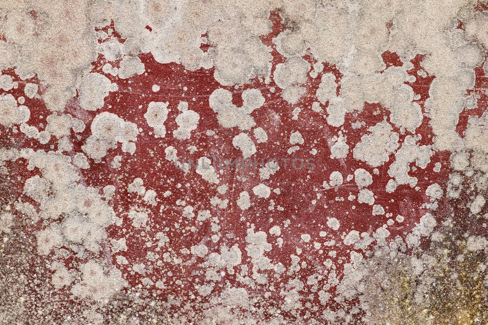 Detail of the weathered cracked plaster - grunge texture