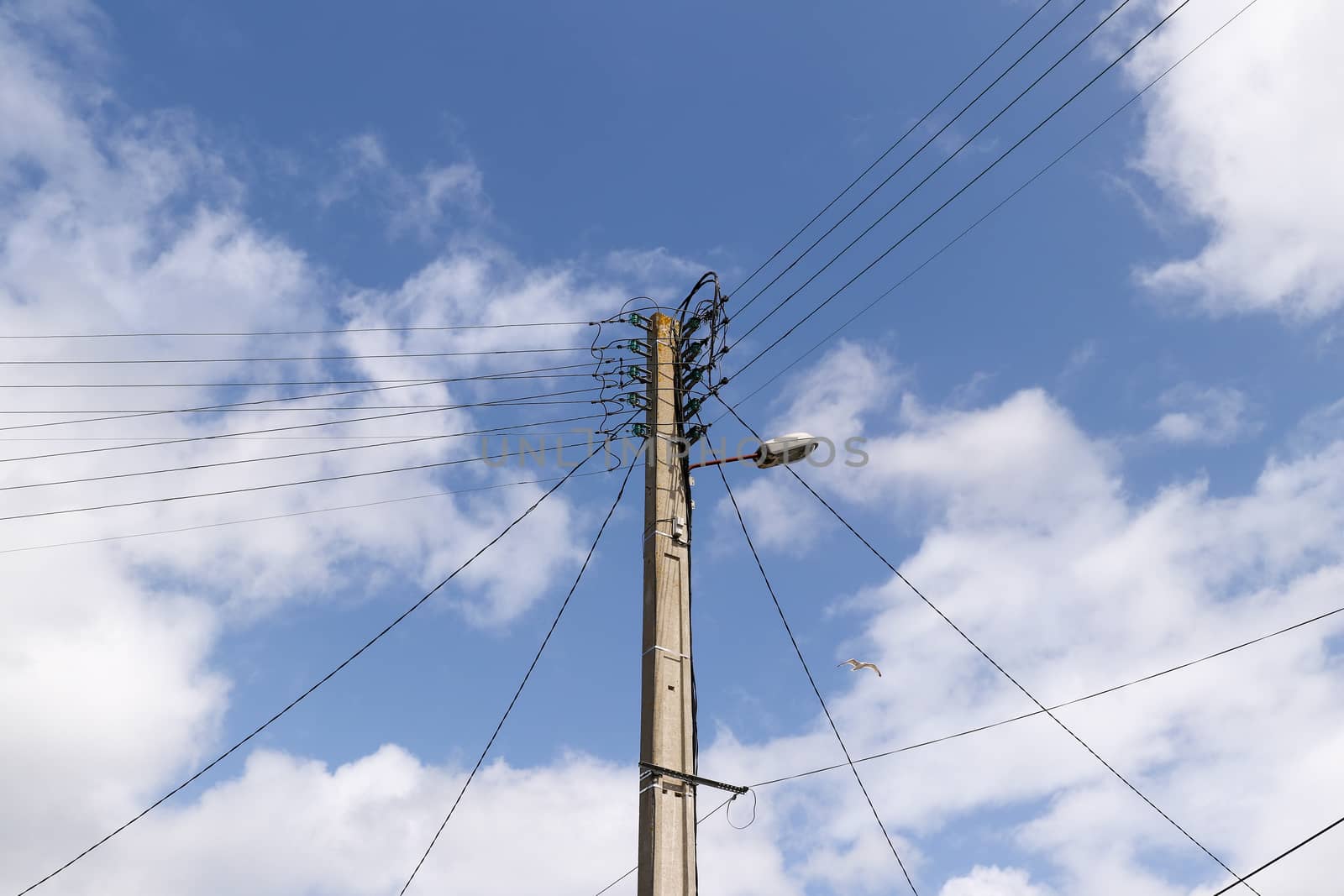 Detail of the power-transmission pole - electric power line