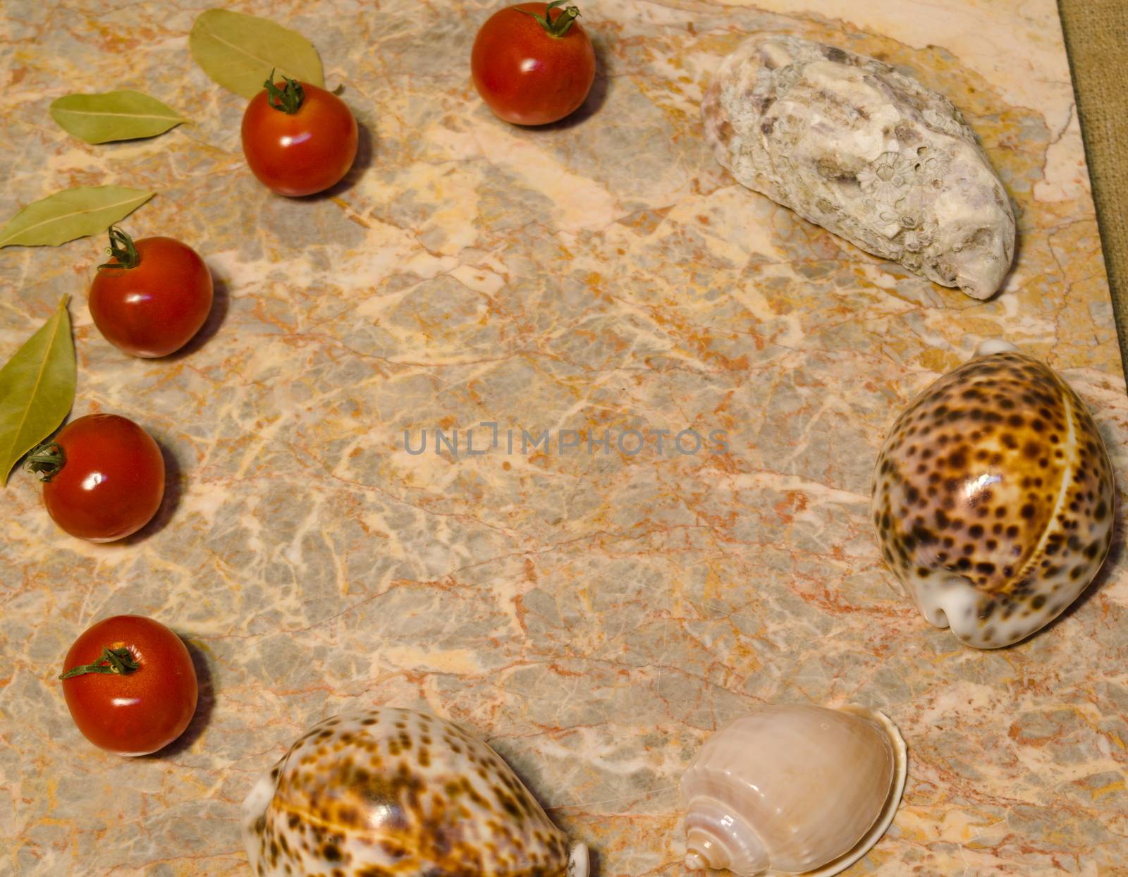 presentation surface - vegetables, seashells, egg on marble surface: cherry tomatoes, bay leaves, oyster, seashells, chicken egg