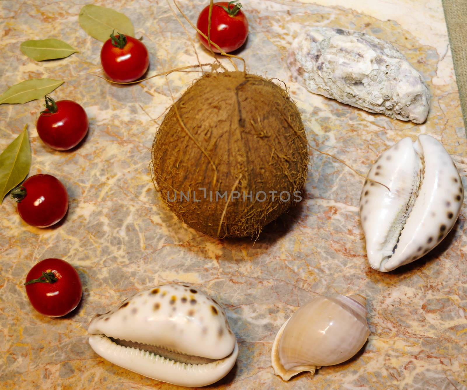 vegetables, seashells and coconut on a marble surface: cherry tomatoes, bell peppers, bay leaves, oyster, shells and coconut