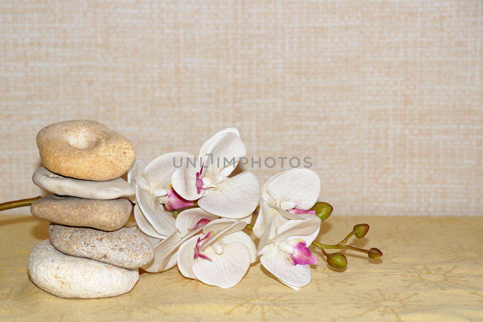 white orchid flower and natural stone pyramid close-up, relaxing zen background