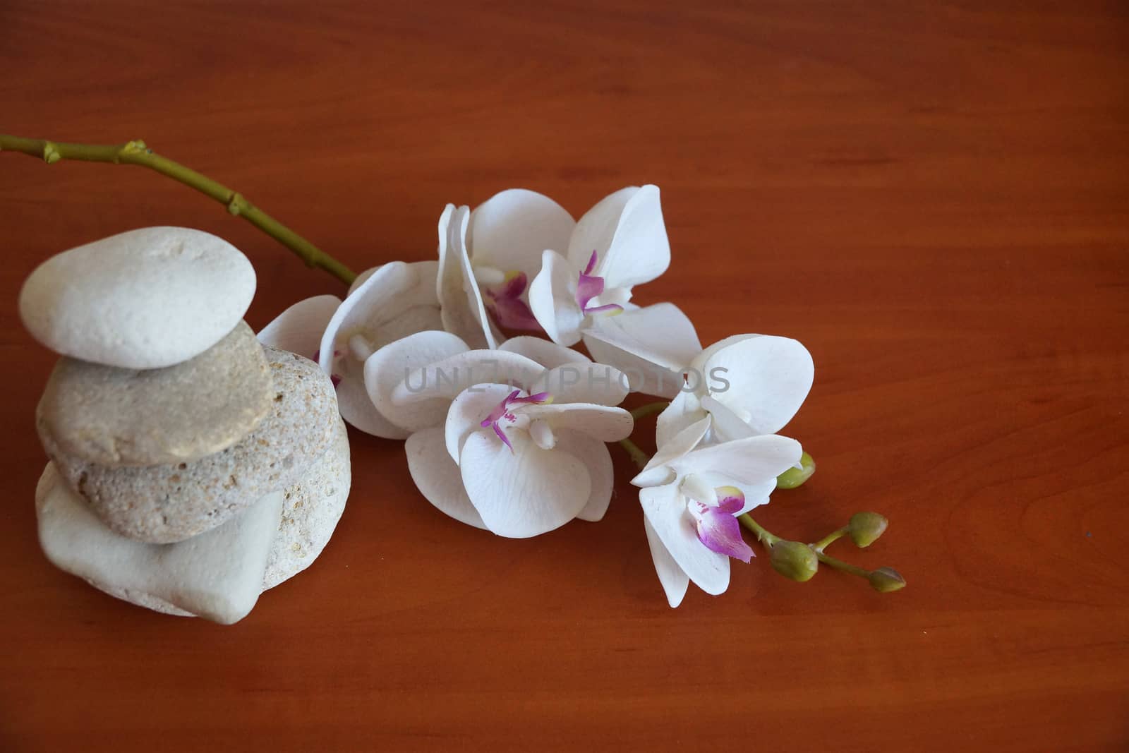 white orchid and natural stones pyramid on wooden background close up