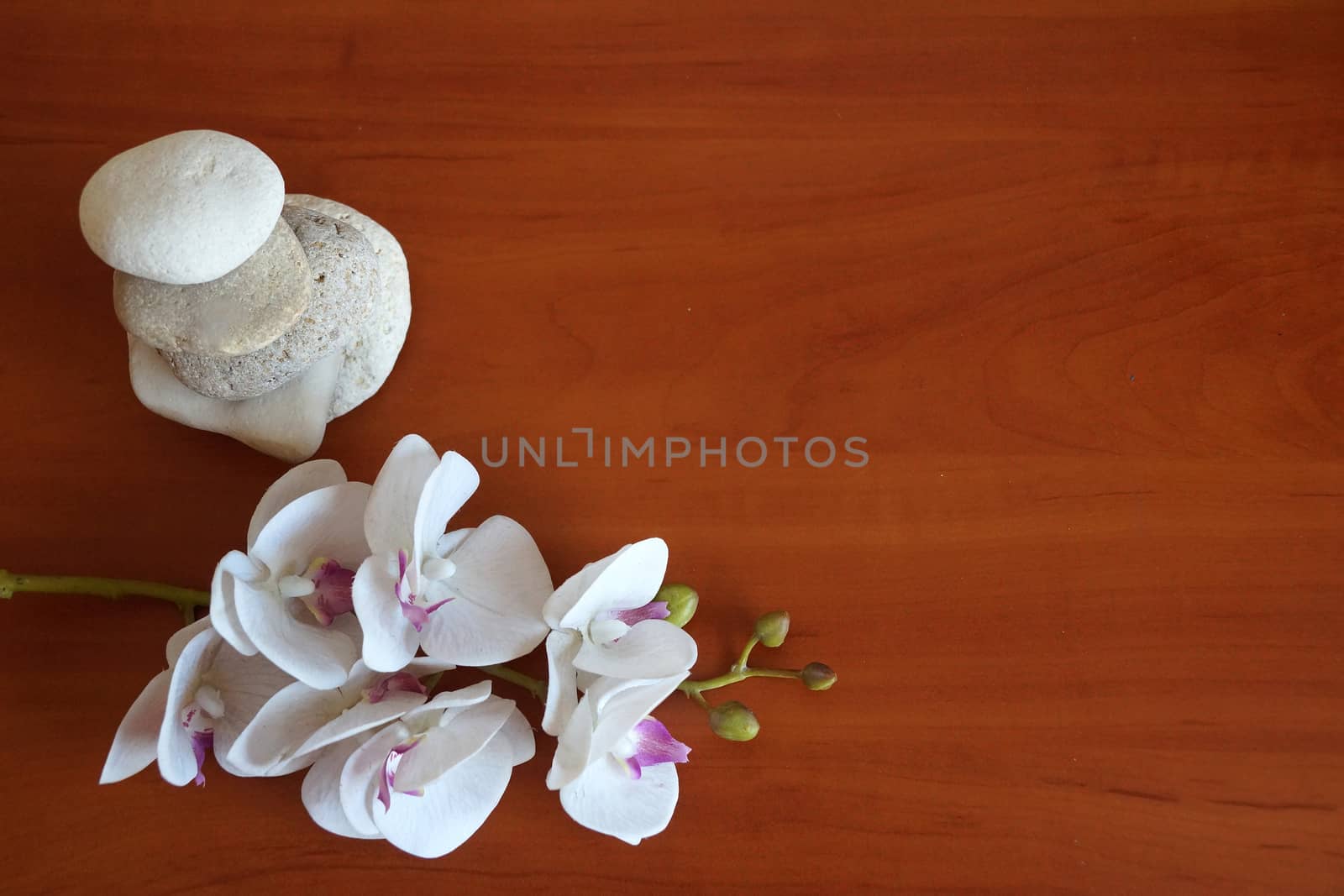 white orchid and natural stones pyramid on wooden background close up