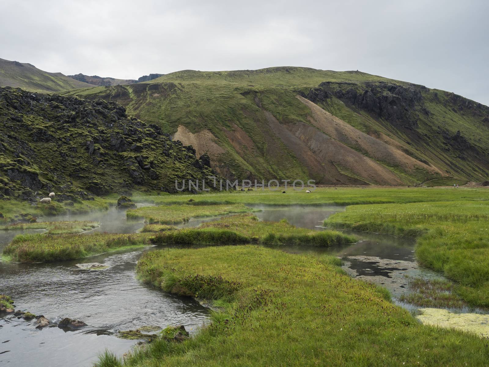 View on geothermal area with natural hot spring, thermal baths in Landmannalaugar camp site, Iceland. Grass meadow, lava fields and mountains in background.