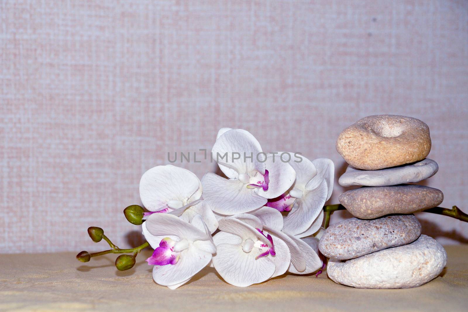 white orchid flower and natural stone pyramid close-up, relaxing zen background