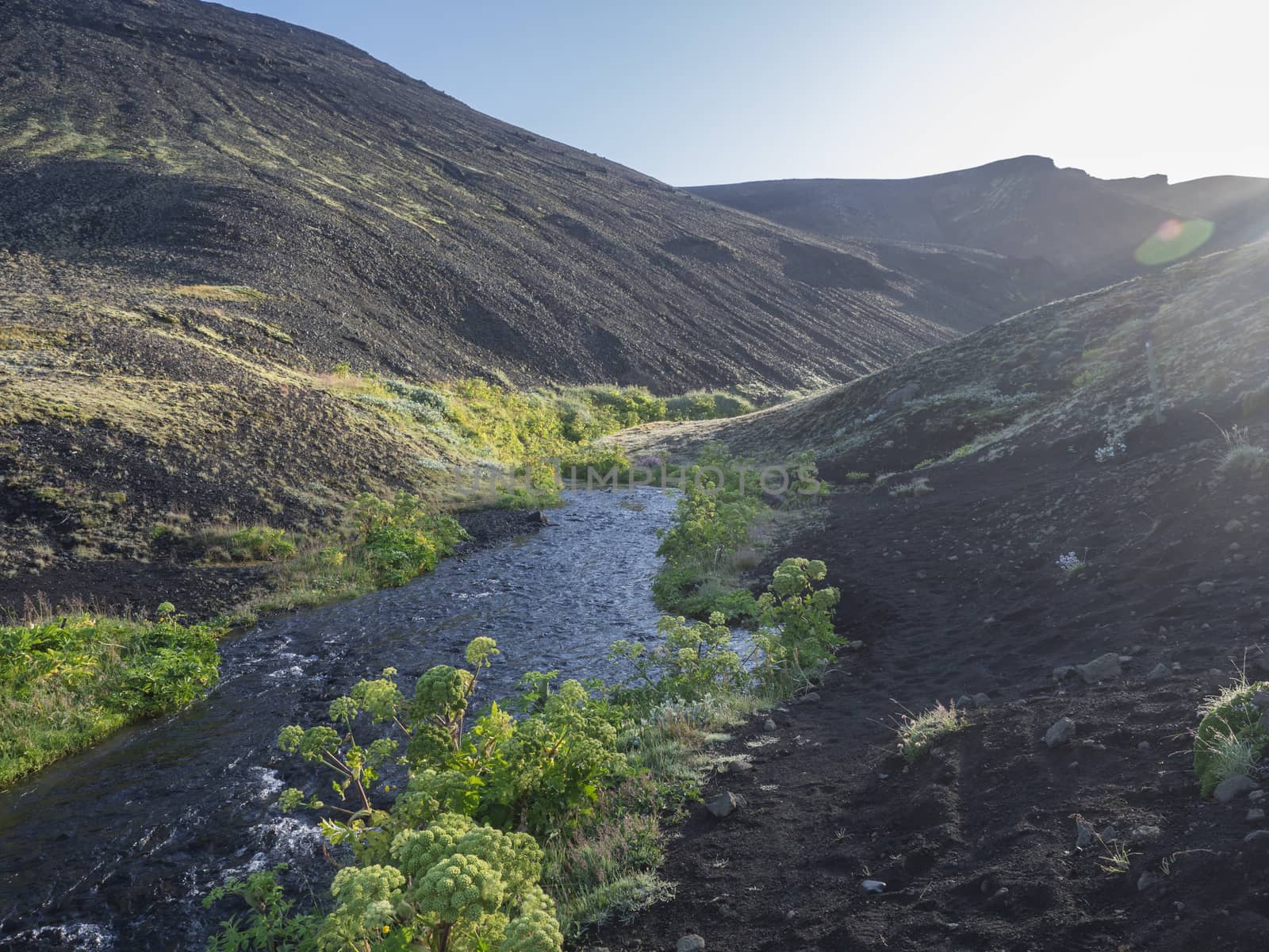 Icelandic landscape with blue river stream and lush green vegatation at Iceland on Laugavegur hiking trail, green valley in volcanic landscape among lava fields and mountains. Early morning, summer blue sky.