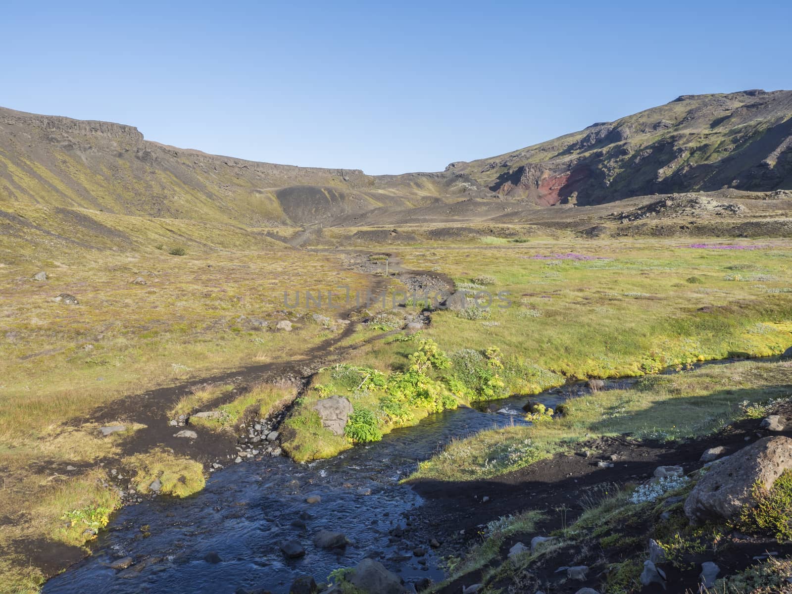 Icelandic landscape with blue river stream and lush green vegatation at Iceland on Laugavegur hiking trail, green valley in volcanic landscape among lava fields and mountains. Early morning, summer blue sky.