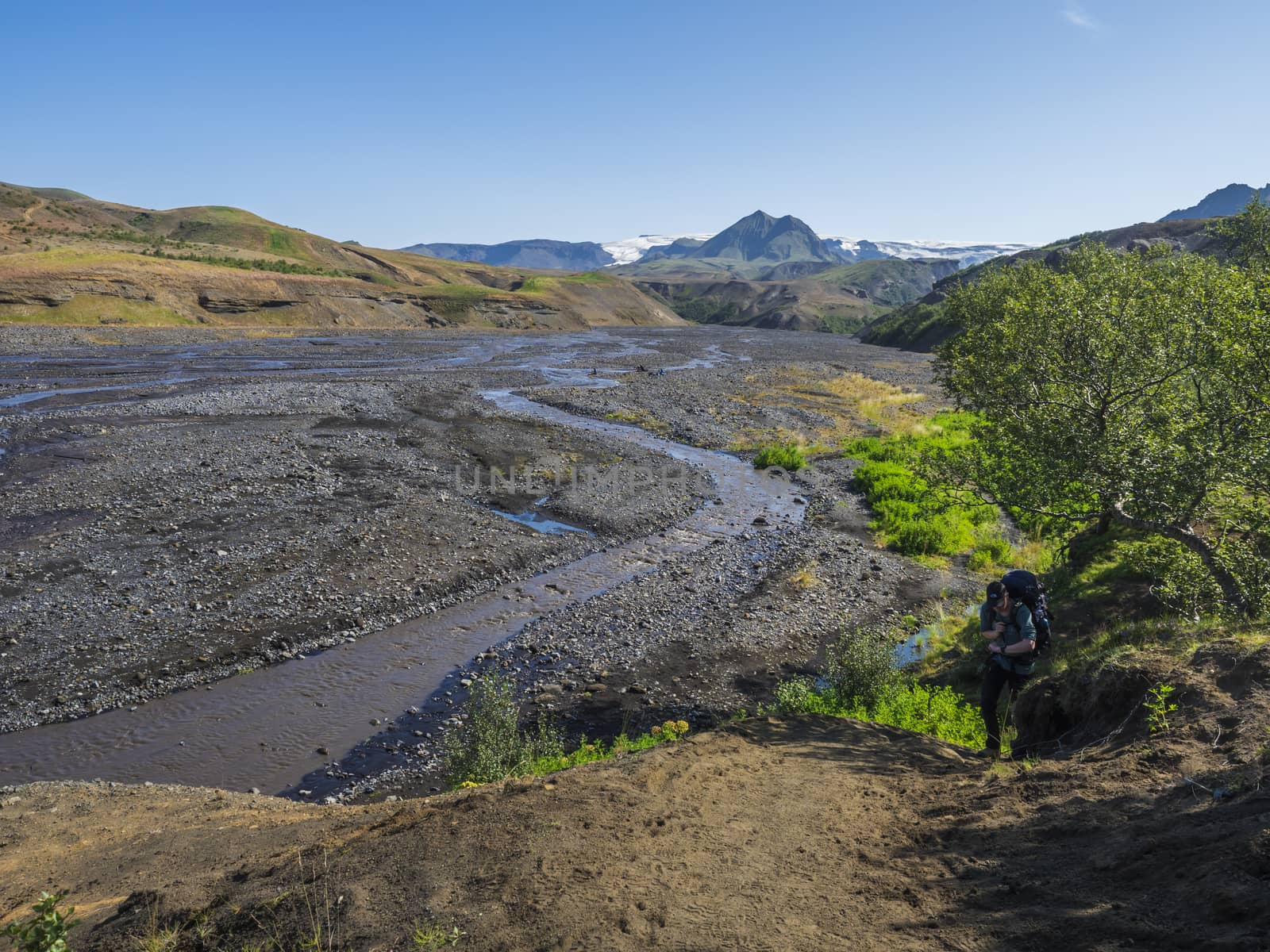 Icelandic landscape with blue Markarfljot river canyon, pink flowers, birch bush,green hills and eyjafjallajokull volcano glacier. Laugavegur hiking trail. Fjallabak Nature Reserve, Iceland. Summer blue sky.