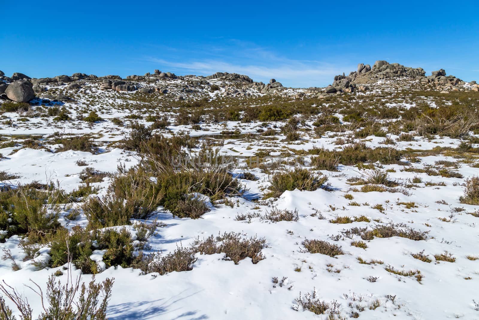 Winter landscape with snow in mountains of Serra do Xures natural park, Galicia, Spain