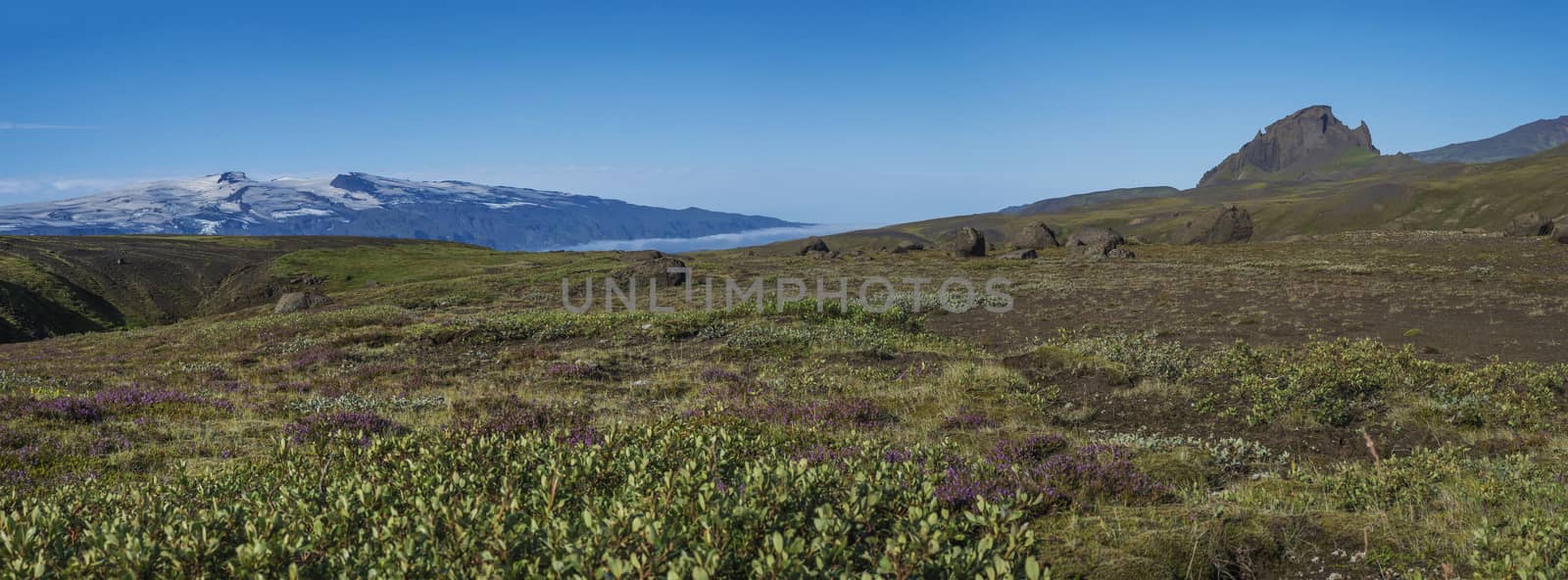 Panoramic landscape with view on Einhyrningur unicorn mountain, green hills, flowers and eyjafjallajokull volcano glacier. Laugavegur hiking trail. Fjallabak Nature Reserve, Iceland. Summer blue sky.