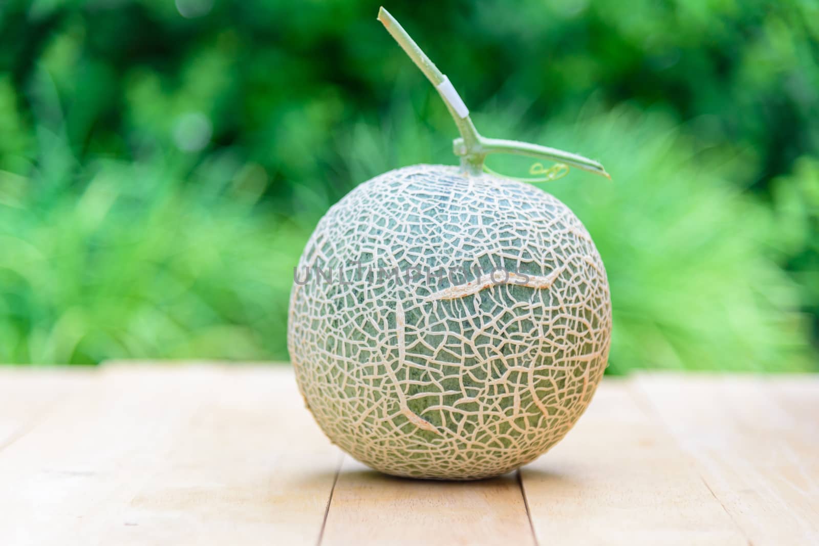 Fresh green melon on wood plate