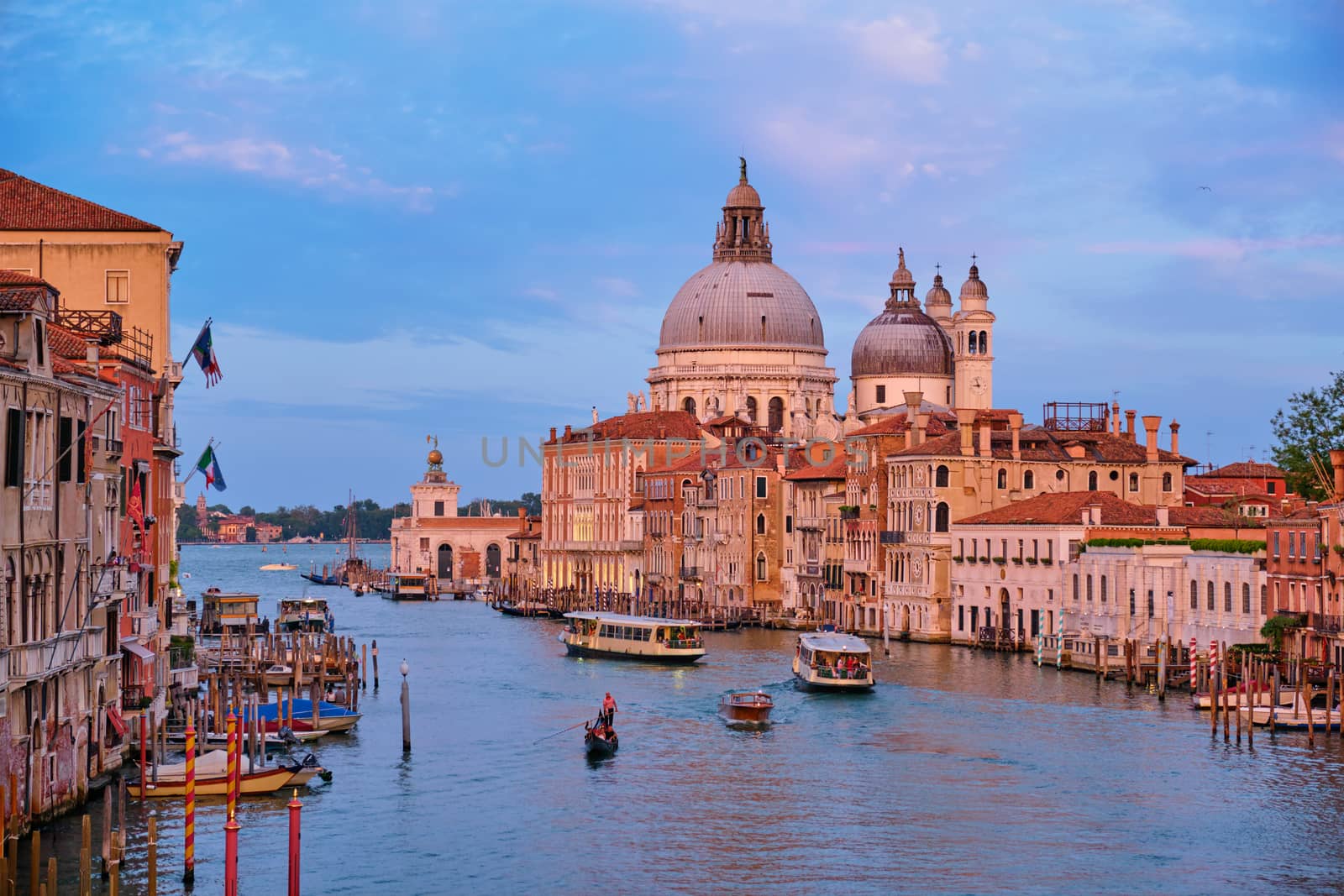 Panorama of Venice Grand Canal and Santa Maria della Salute church on sunset by dimol