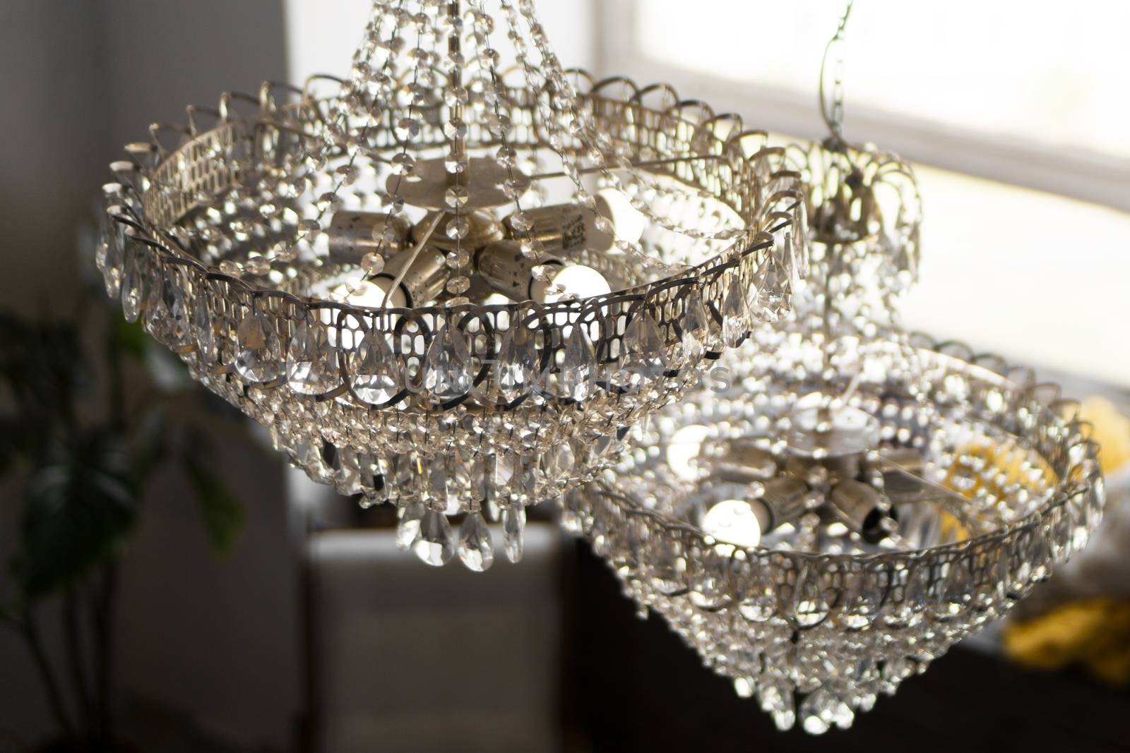 Beautiful crystal chandeliers in a light room