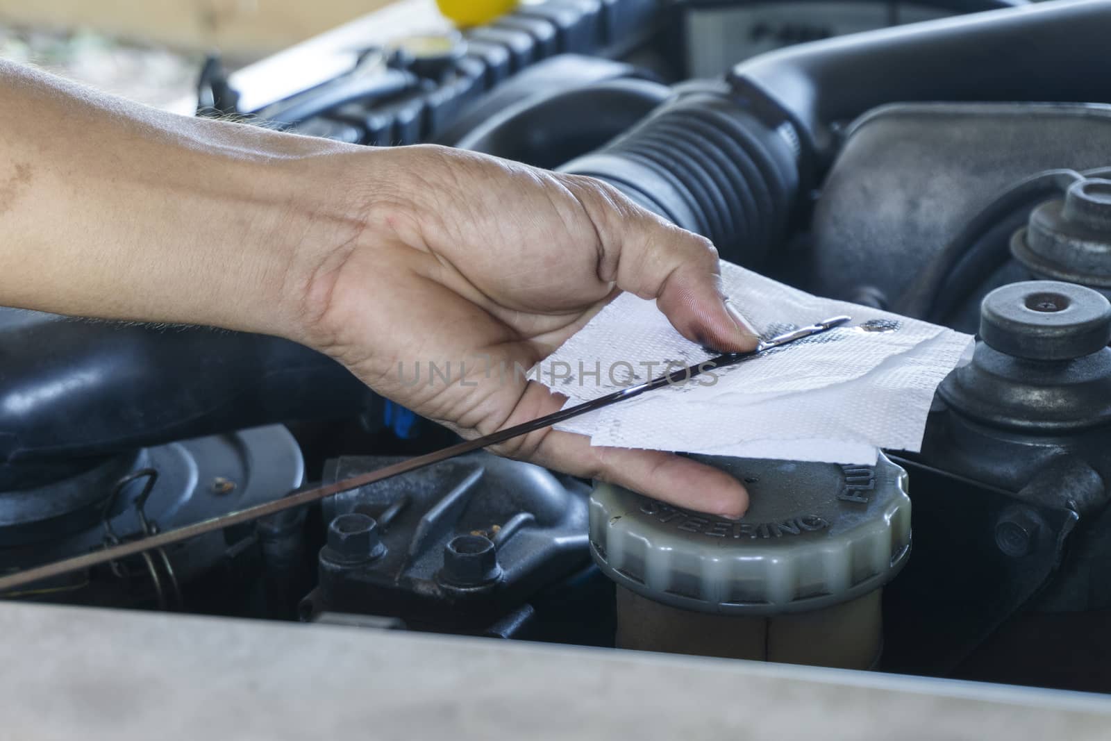 Close up hands of mechanic doing car service and maintenance. Oil and fuel filter Checking changing repair