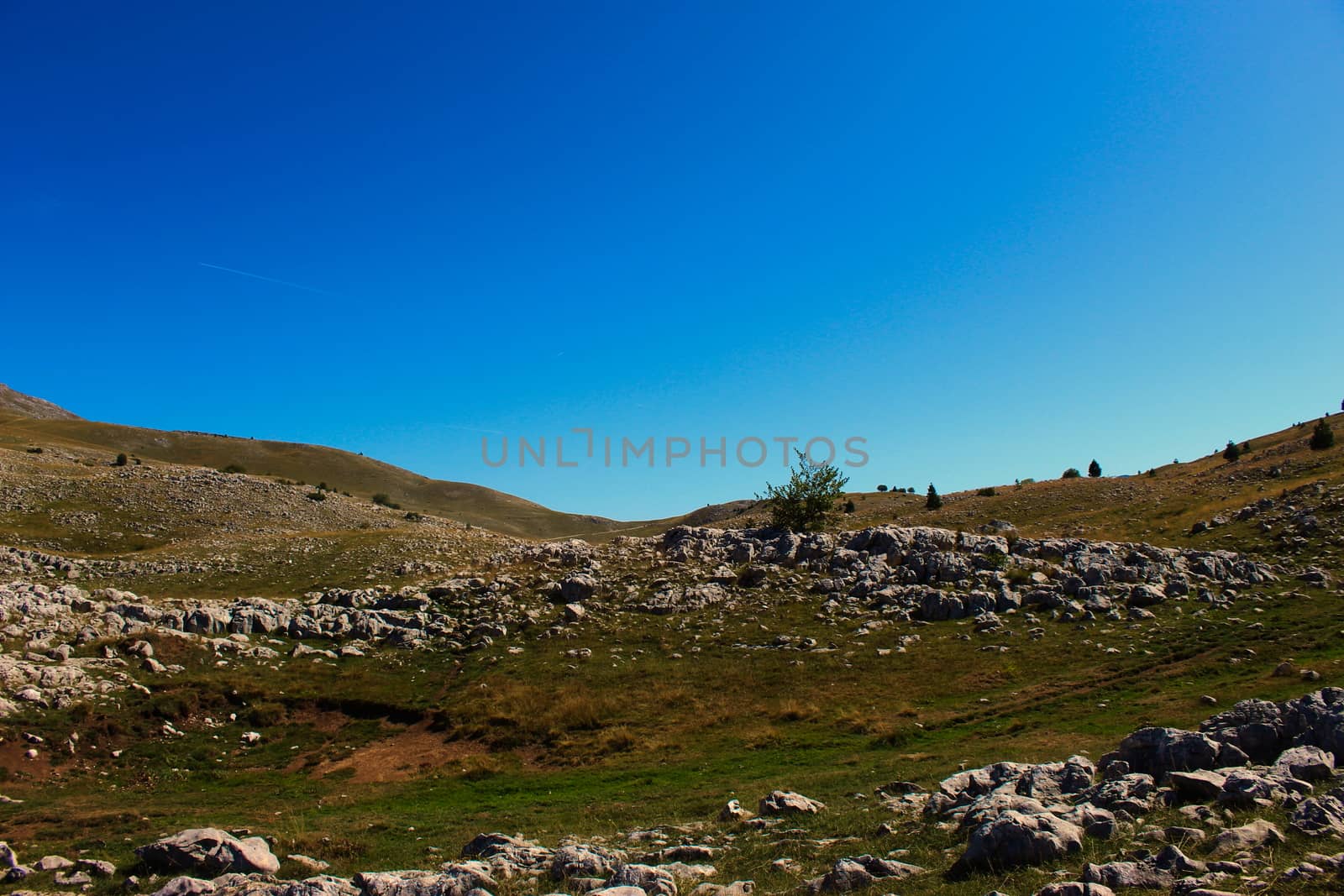 Karst on the mountain Bjelasnica, a lot of stones, meadows and a few trees. Bjelasnica Mountain, Bosnia and Herzegovina. by mahirrov