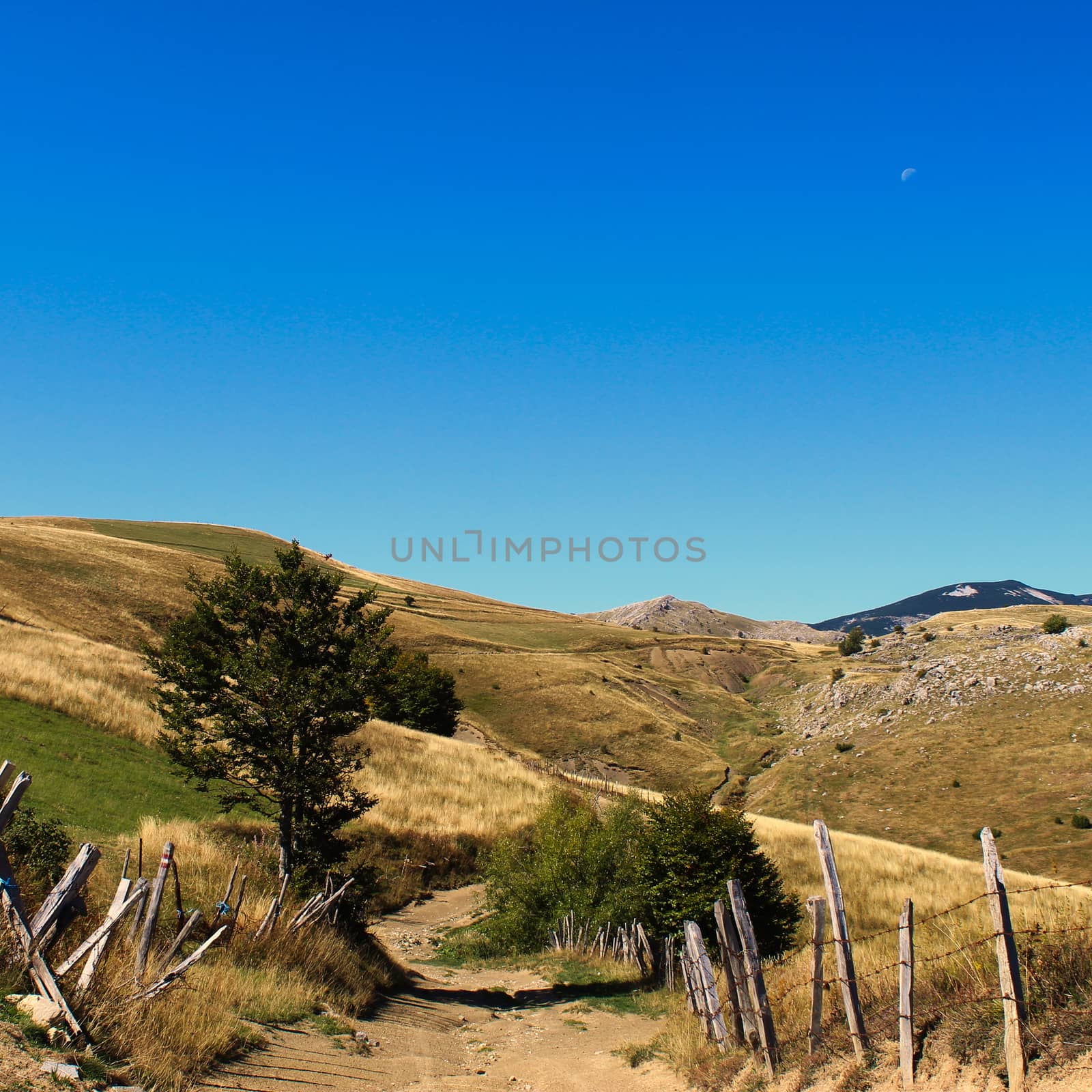 An old mountain road with an old fence, a tree on the side and mountain peaks in the distance. Bjelasnica Mountain, Bosnia and Herzegovina.