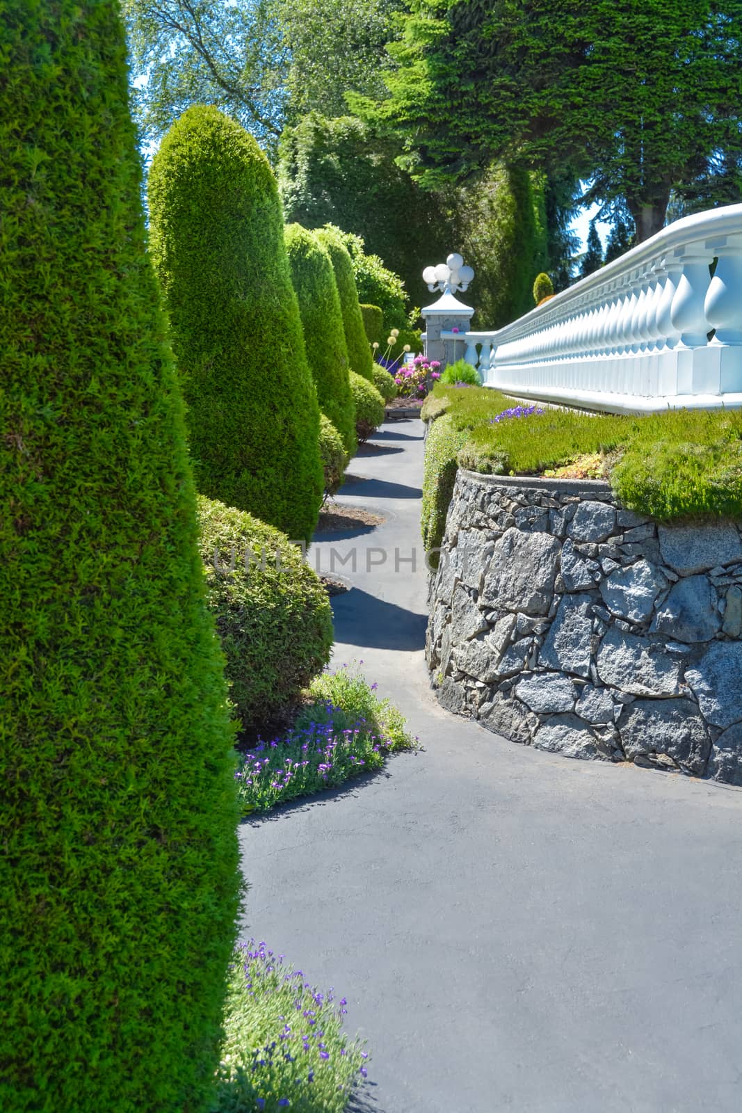 A perfect neighbourhood. Luxury residential house fenced with white balustrade built on land terrace decorated with topiary trees and bushes