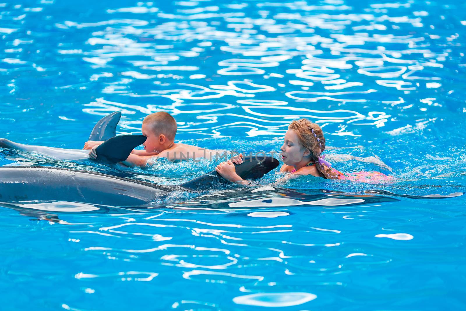 Happy little kids swimming with dolphins in Dolphinarium by Len44ik