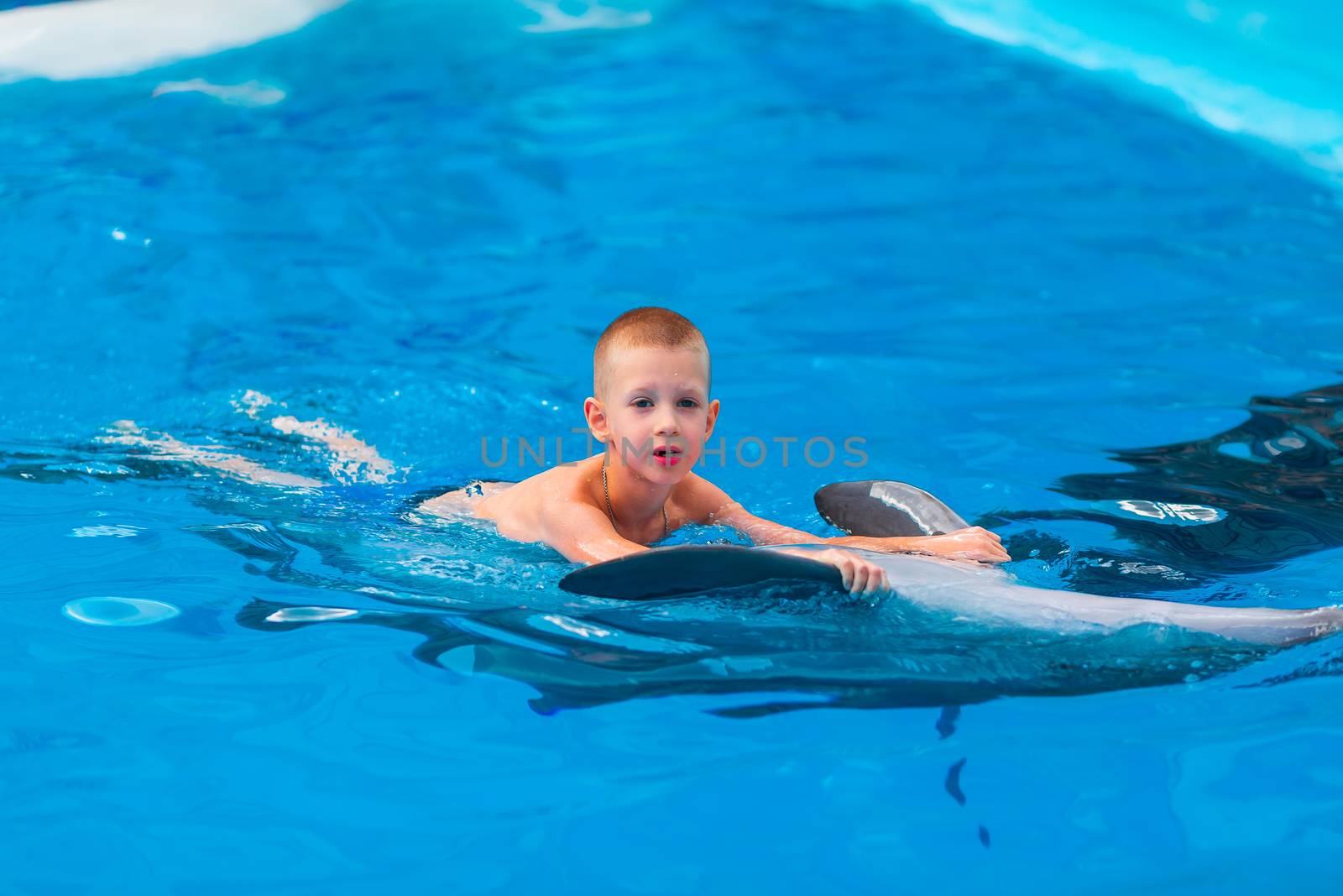 Happy little boy swimming with dolphins in Dolphinarium by Len44ik