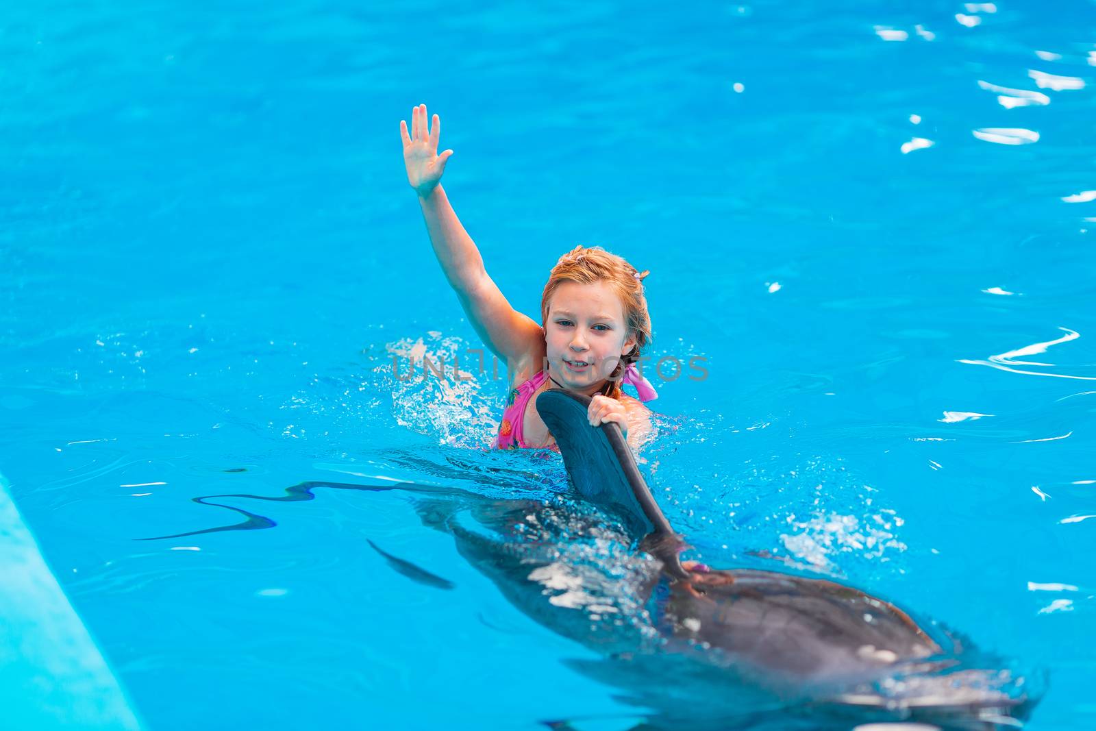 Happy little girl swimming with dolphins in Dolphinarium. Swimming, bathing and communication with dolphins.