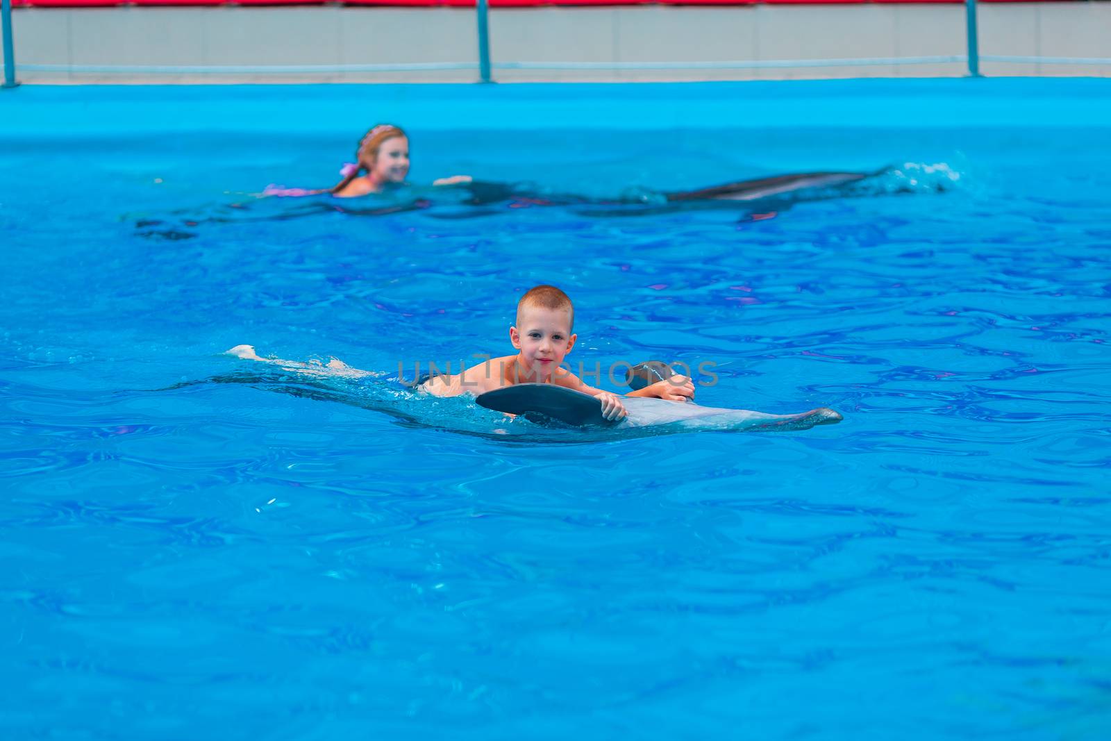 Happy little kids swimming with dolphins in Dolphinarium by Len44ik