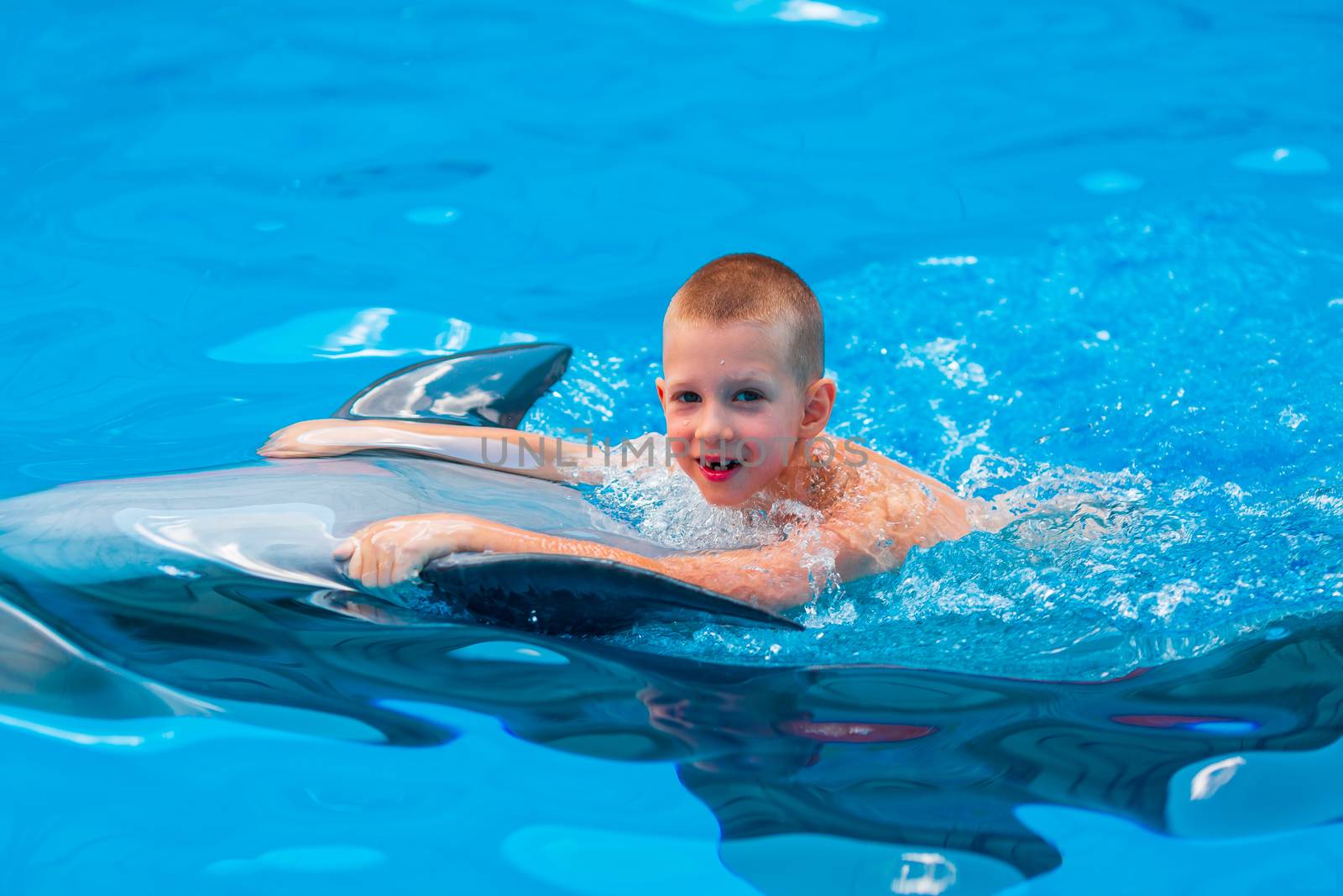 Happy little boy swimming with dolphins in Dolphinarium by Len44ik