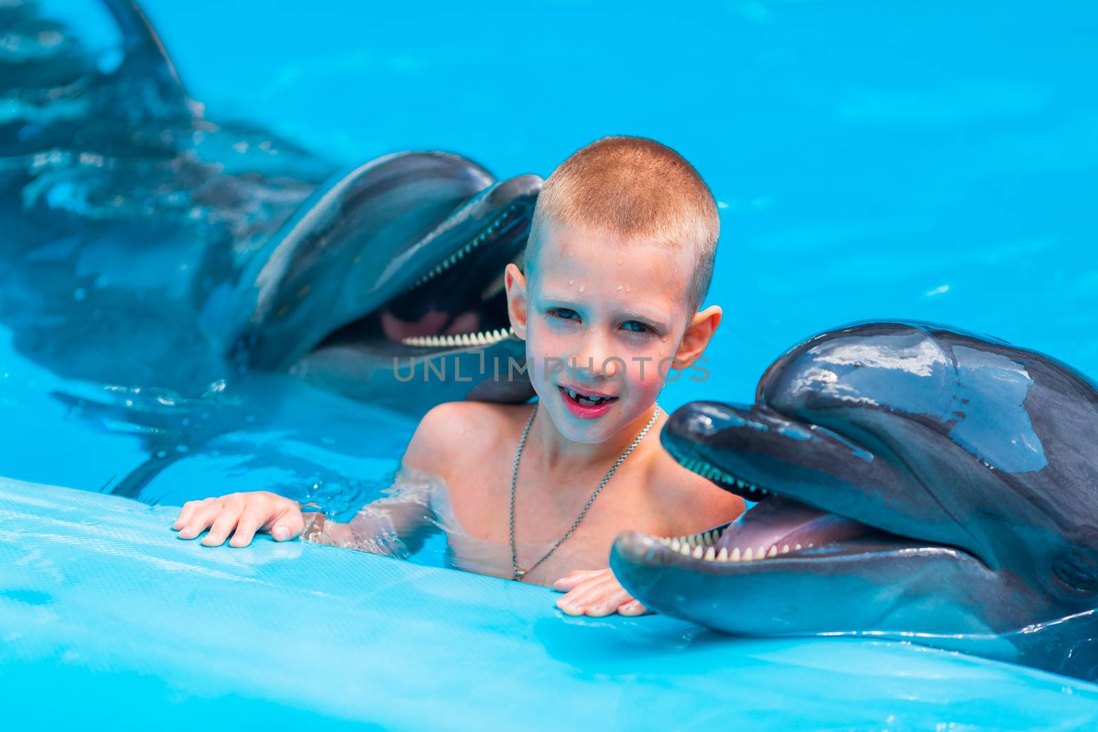 Happy little boy swimming with dolphins in Dolphinarium. Swimming, bathing and communication with dolphins.